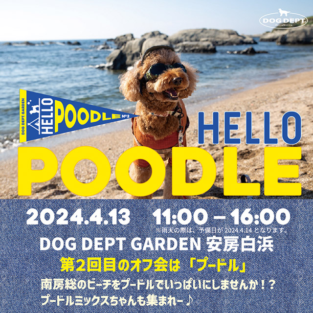 HELLOプードルオフ会 ブランドのドッグデプト/DOG DEPT