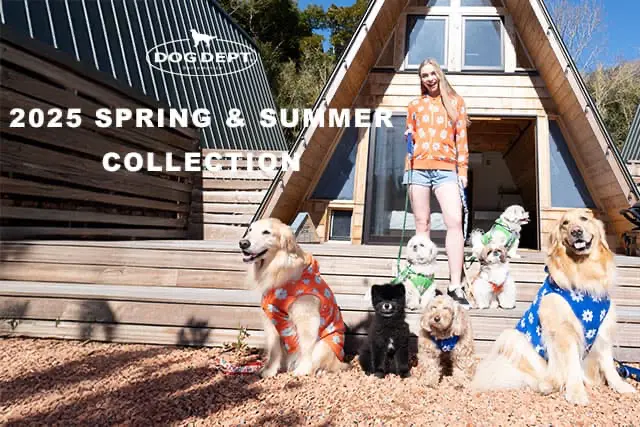 【DOG DEPT】長袖チュニックシャツ 公式の店舗 DOG DEPT】長袖チュニックシャツ トップス - トップス
