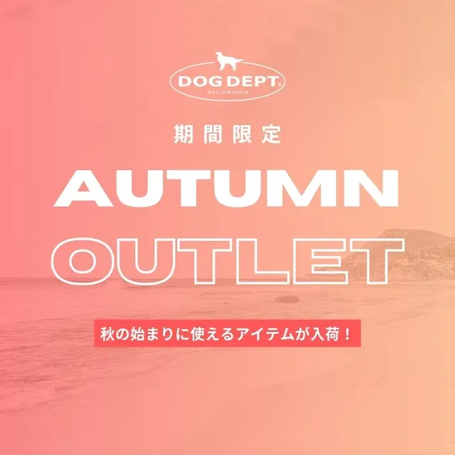 新着 ブランドのドッグデプト/DOG DEPT