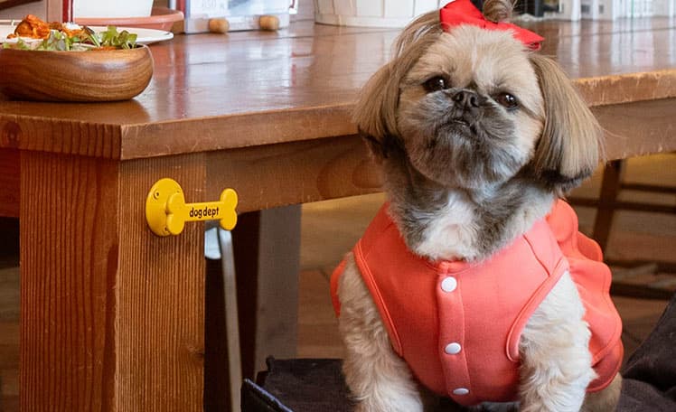 犬 服 ボーダー 小型犬 ギフト ドッグウェア シンプル 22ss 春 かわいい 女の子 中型犬 シャツ 超小型犬 可愛い 夏 男の子