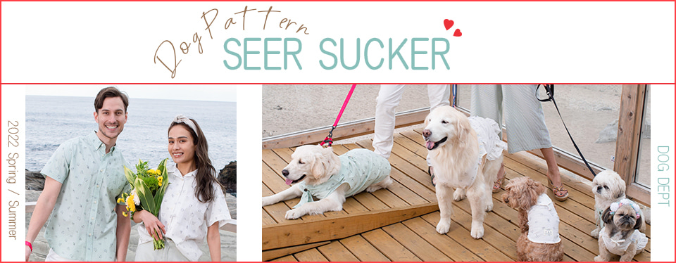 犬柄サッカーペアルック 犬服 ドッグウェアブランド通販 Dog Dept ドッグデプト 公式