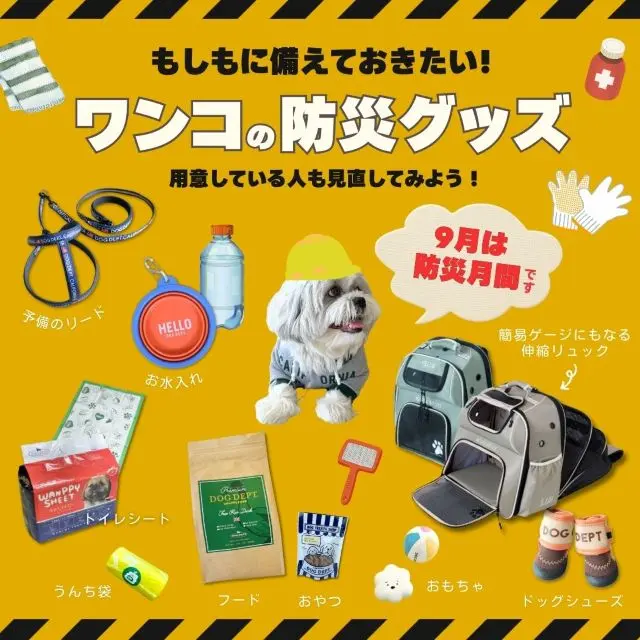 防災グッズ ブランドのドッグデプト/DOG DEPT