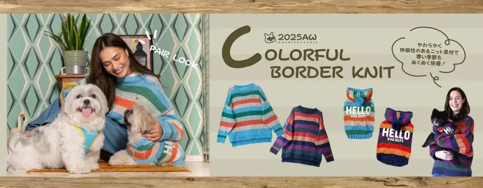 カラフルボーダーニット ブランドのドッグデプト/DOG DEPT