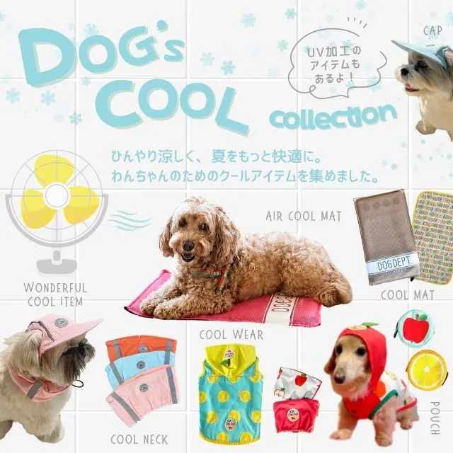 26SSワンちゃんのクールコレクション ブランドのドッグデプト/DOG DEPT