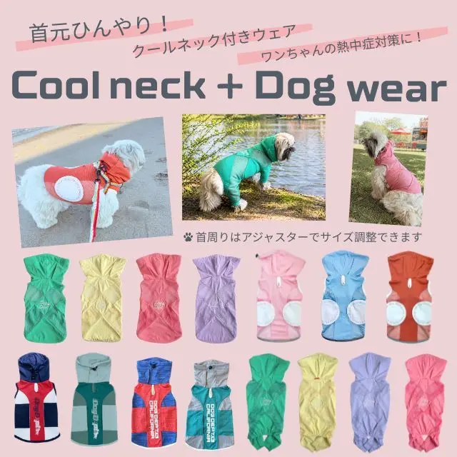 クールネック付きドッグウェア ブランドのドッグデプト/DOG DEPT