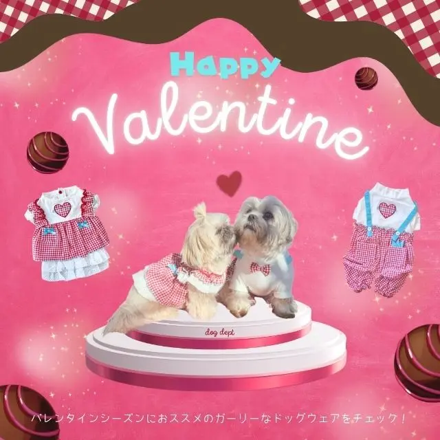 バレンタインドッグウェア ブランドのドッグデプト/DOG DEPT
