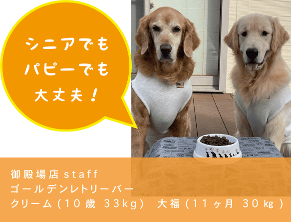 DOG DEPTプレミアムドッグフード