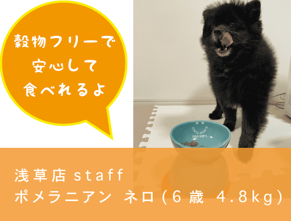 DOG DEPTプレミアムドッグフード