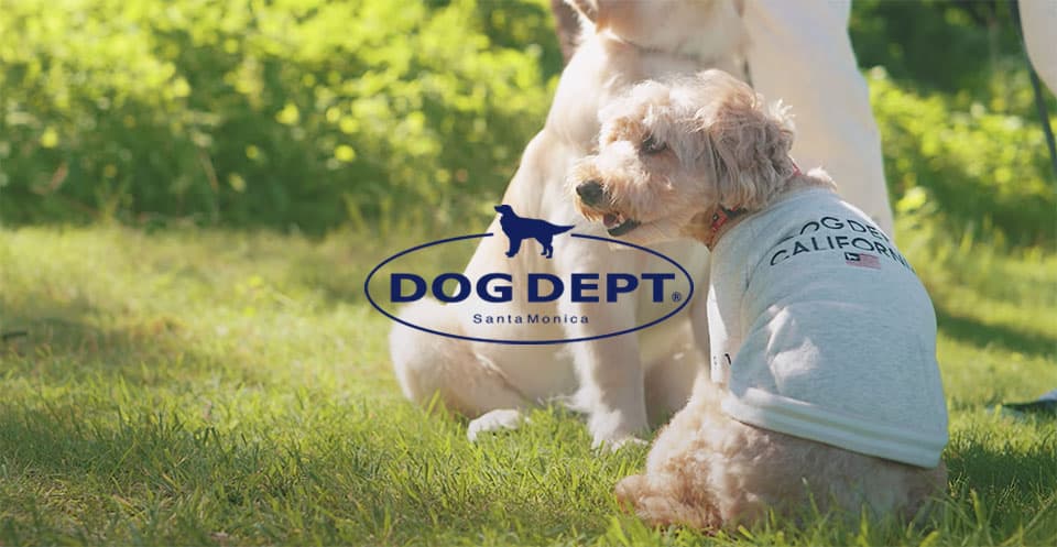 ドッグウェア（犬服）の商品一覧 ｜ DOG DEPT（ドッグデプト）公式