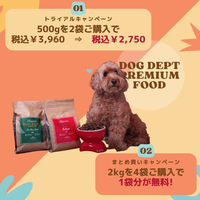OUTLET ブランドのドッグデプト/DOG DEPT