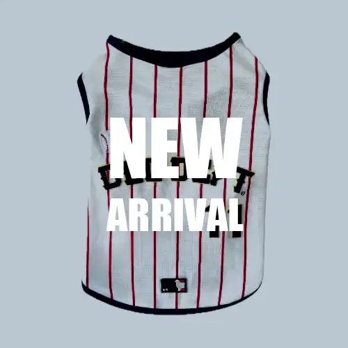 新着 ブランドのドッグデプト/DOG DEPT