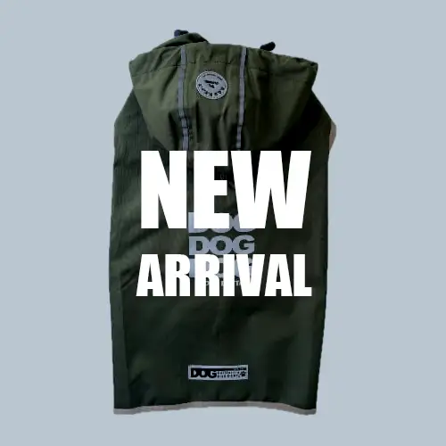 新着 ブランドのドッグデプト/DOG DEPT