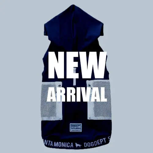 新着 ブランドのドッグデプト/DOG DEPT