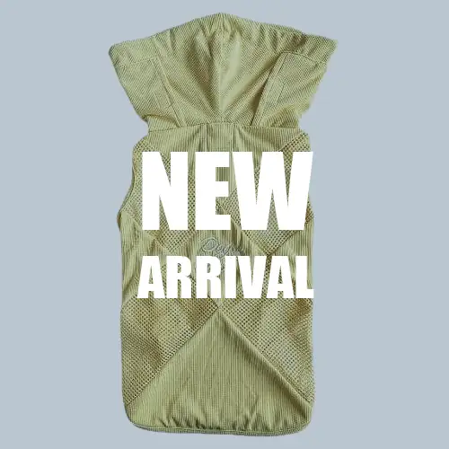 新着 ブランドのドッグデプト/DOG DEPT