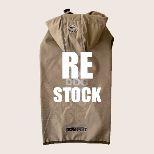 再入荷 ブランドのドッグデプト/DOG DEPT