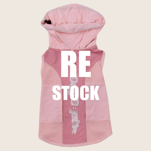 再入荷 ブランドのドッグデプト/DOG DEPT