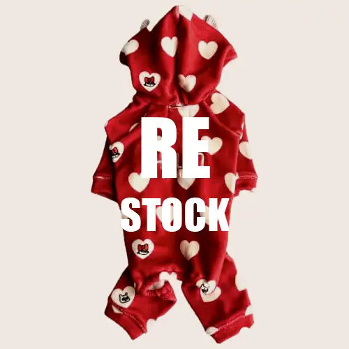 再入荷 ブランドのドッグデプト/DOG DEPT